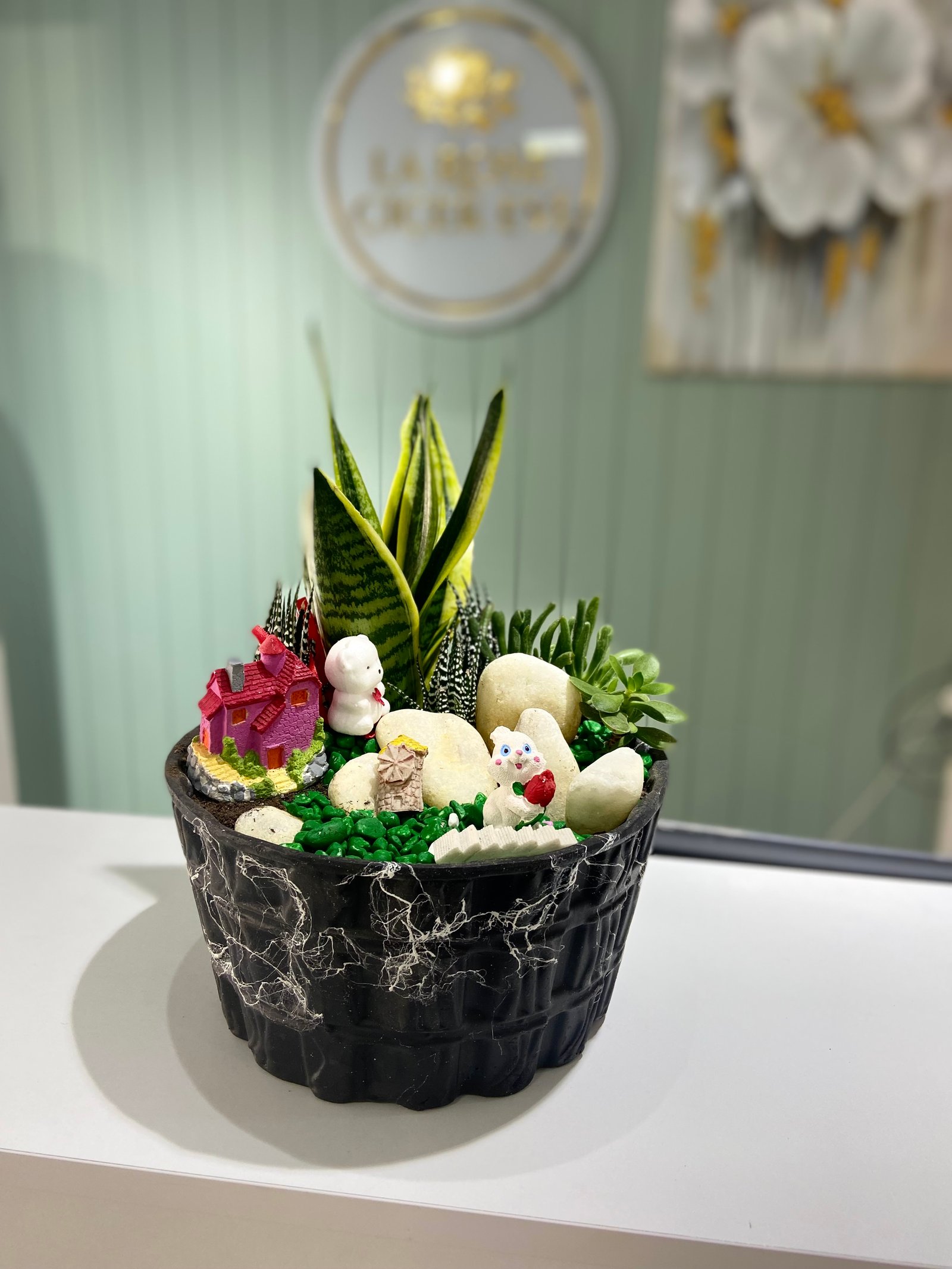 Kaktüs sukulent Teraryum 